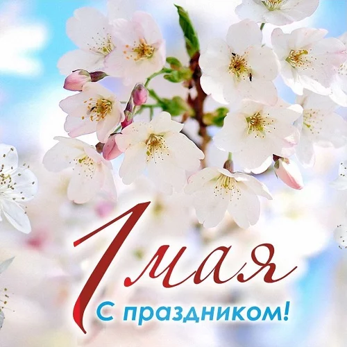 Поздравляем вас с Первым мая 2025!