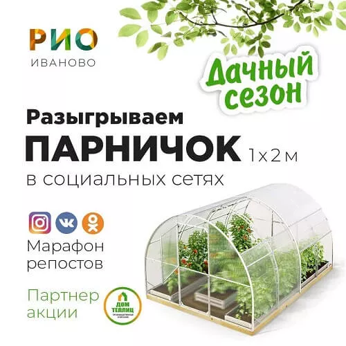 Розыгрыш теплиц в ближайший день распродаж
