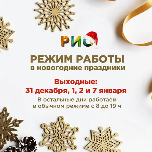 График работы РИО в Новогодние выходные в 2024