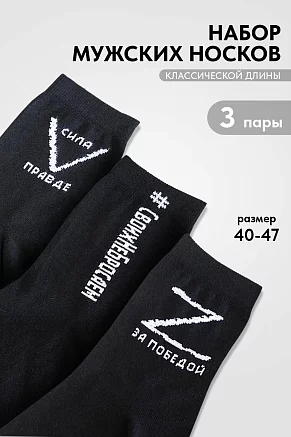 Носки мужские стандарт Защитник (набор 3 пары) / черный