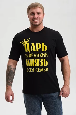 Мужская футболка 8539 / черный+князь