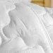 Одеяло стеганое Самойловский Текстиль Гипоаллергенное 150 гр/м2 №2