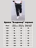 Детские спортивные брюки "Владимир" / черный №10