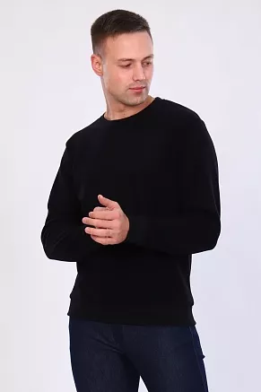 Мужской свитшот 17592 / черный