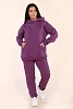 Женский костюм 399 / Ежевичный