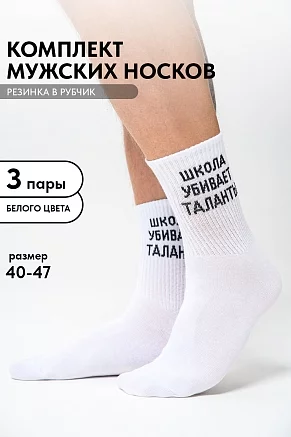 Носки мужские стандарт Талант (набор 3 пары) / белый