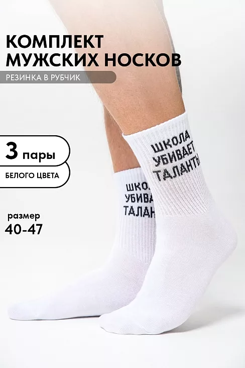 Носки мужские стандарт Талант (набор 3 пары) / белый