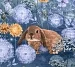Покрывало детское перкаль / Моя зайка №4