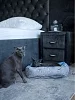 Лежак для кошек и собак / кошки №6