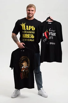 Мужская футболка 8539 / черный+князь