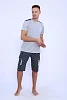 Мужской костюм с шортами 39036 / серый №9