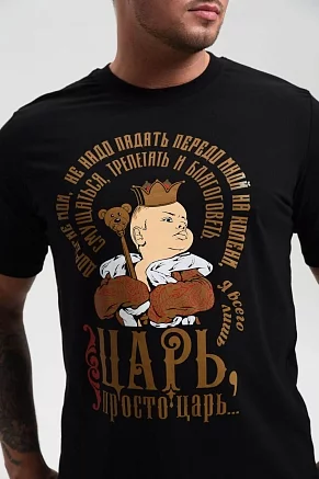 Мужская футболка 8539 / черный+царь