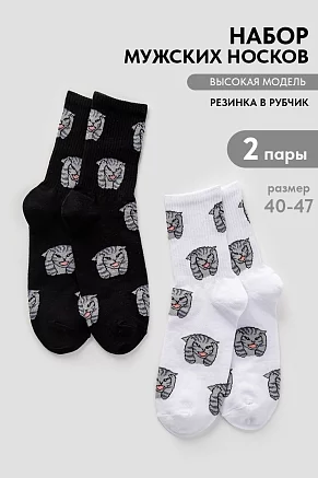 Мужские носки стандарт Драматик кот (набор 2 пары) / белый, черный