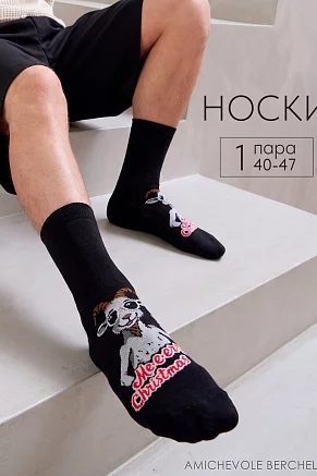 Носки мужские стандарт Крис / черный