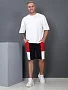 Мужские шорты Россия / синий