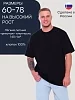 Мужская футболка Атлант / черный