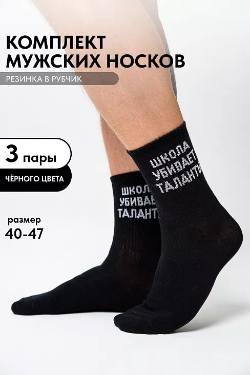 Носки мужские стандарт Талант (набор 3 пары) / черный