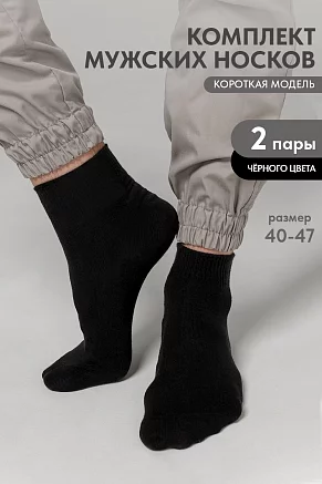 Носки мужские стандарт Универсал (набор 2 пары) / черный