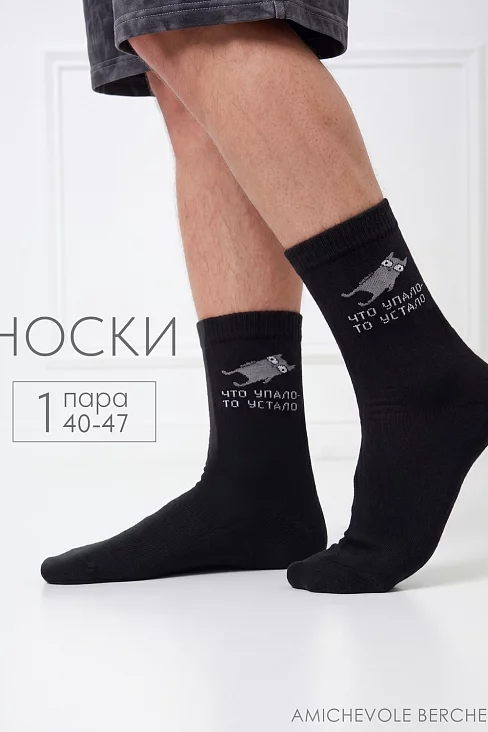 Носки мужские стандарт Упало-устало / черный