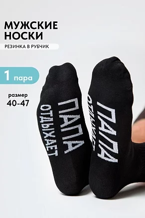 Носки мужские стандарт Папа отдыхает / черный