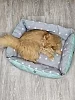 Лежак для кошек и собак / звезды, серый, зеленый №1