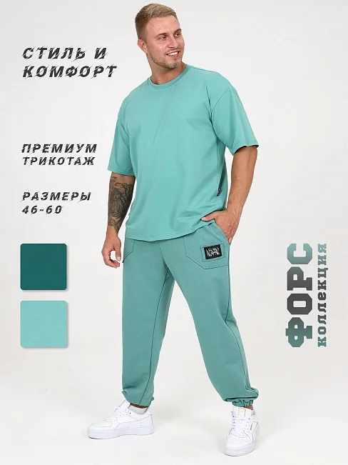 Мужские брюки Десент / олива