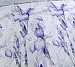 Постельное белье перкаль с одеялом / Поэзия красоты 1 №3