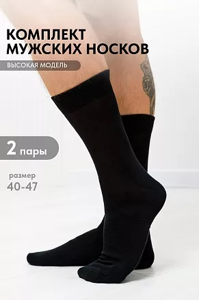 Носки мужские стандарт Беркут (набор 2 пары) / черный