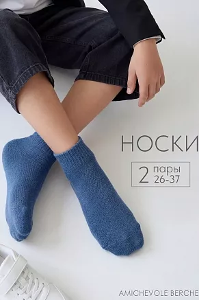 Детские носки стандарт Для мальчиков (набор 2 пары) / джинс