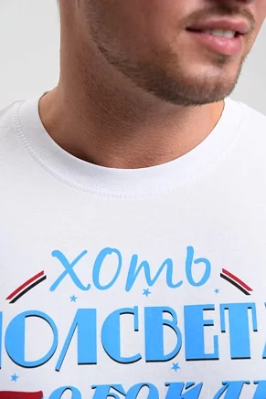 Мужская футболка 8539 / белый+папы