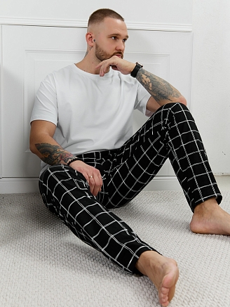 Мужские брюки Тор-1.1 / клетка линеарная