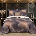 Постельное бельё поплин Сильвер №2