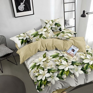 Постельное белье поплин набивной Зима-лето / В ассортименте