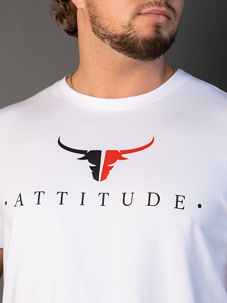 Мужская футболка мод.2164/1 / Белый