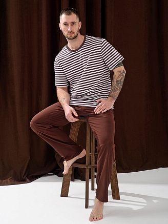 Мужская пижама "Полоса" 2440-К / Коричневый