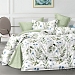 Постельное белье поплин набивной / В ассортименте №24