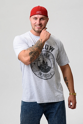 Мужская футболка 8503/1 / серый+Москва