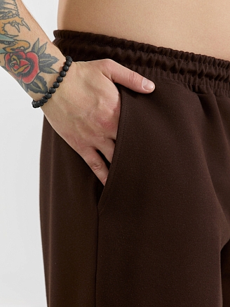 Мужские брюки Интер-2 / коричневый