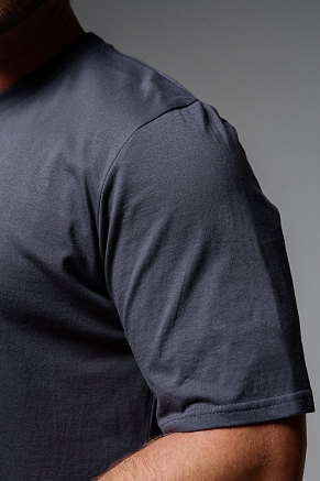 Мужская футболка 8503/1 / антрацит+калифорния