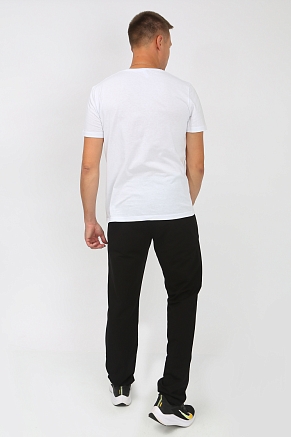 Брюки мужские 22231 / черный