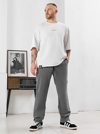 Мужские брюки Акс / серый