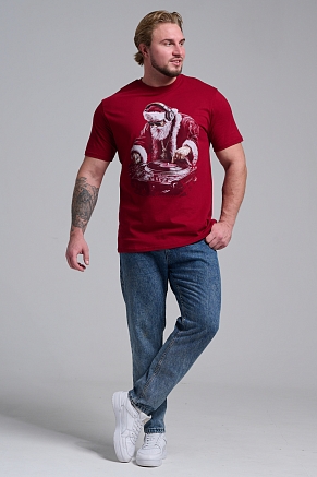 Мужская футболка 8581 / бордо+диско дедМ