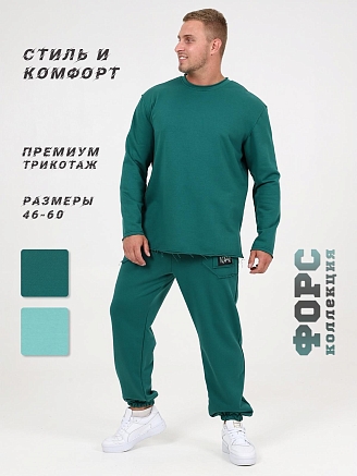 Мужской лонгслив Райт / петроль