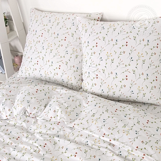 Постельное бельё поплин De Luxe Ботаника