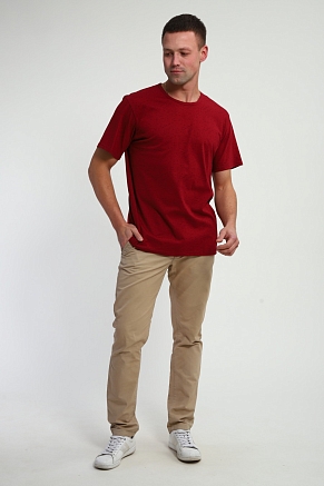 Мужская футболка Березка / Чёрный на винном