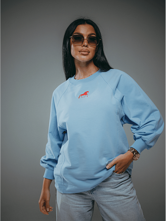 Женский свитшот Символ / Голубой