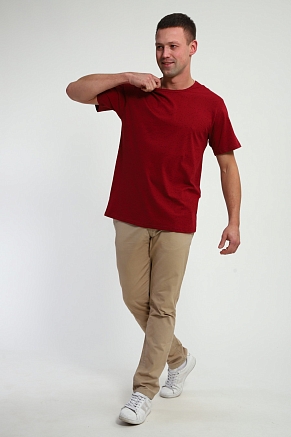 Мужская футболка Березка / Чёрный на винном