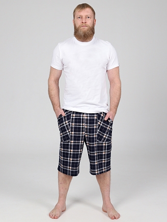 Мужские шорты ШК-279 / Бежевая клетка