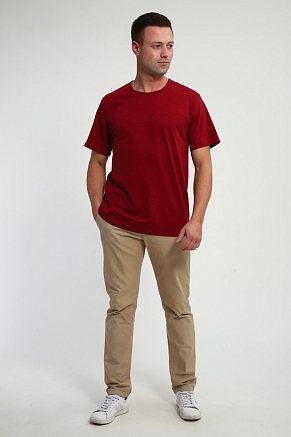 Мужская футболка Березка / Чёрный на винном