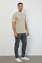 Мужская футболка 14481 / бежевый